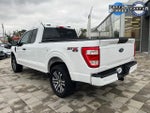 2023 F-150 Thumbnail 6
