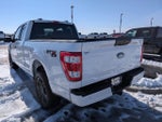 2021 F-150 Thumbnail 6