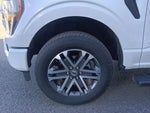 2023 F-150 Thumbnail 10
