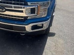 2019 F-150 Thumbnail 18