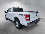 2020 F-150 Thumbnail 12