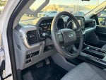 2023 F-150 Thumbnail 14