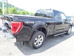2023 F-150 Thumbnail 6