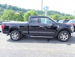 2023 F-150 Thumbnail 7