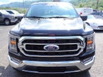 2023 F-150 Thumbnail 9
