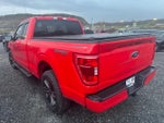 2022 F-150 Thumbnail 5
