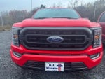 2022 F-150 Thumbnail 7