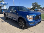 2022 F-150 Thumbnail 4