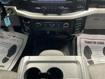 2021 F-150 Thumbnail 20