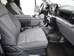 2023 F-150 Thumbnail 15