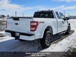 2023 F-150 Thumbnail 12