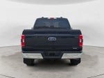 2023 F-150 Thumbnail 6