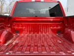 2023 F-150 Thumbnail 6