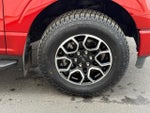 2023 F-150 Thumbnail 7