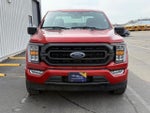 2023 F-150 Thumbnail 8