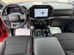 2023 F-150 Thumbnail 10