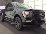 2023 F-150 Thumbnail 4