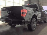 2023 F-150 Thumbnail 6