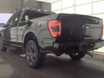 2023 F-150 Thumbnail 8