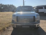 2012 F-150 Thumbnail 6