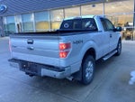 2013 F-150 Thumbnail 3
