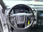 2013 F-150 Thumbnail 11