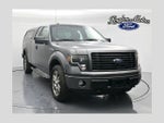 2014 F-150 Thumbnail 1