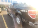 2013 F-150 Thumbnail 3