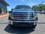 2013 F-150 Thumbnail 3