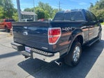 2013 F-150 Thumbnail 6