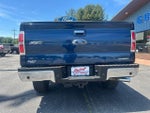 2013 F-150 Thumbnail 7