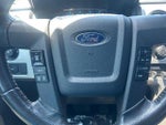 2013 F-150 Thumbnail 15