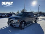 2014 F-150 Thumbnail 3