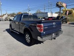 2011 F-150 Thumbnail 6