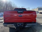 2017 F-150 Thumbnail 14