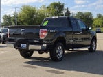 2012 F-150 Thumbnail 10