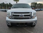 2013 F-150 Thumbnail 5