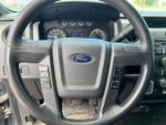 2014 F-150 Thumbnail 13