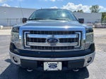 2013 F-150 Thumbnail 7