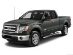 2013 F-150 Thumbnail 1