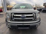 2013 F-150 Thumbnail 2