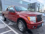 2014 F-150 Thumbnail 5