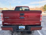 2014 F-150 Thumbnail 8