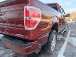 2014 F-150 Thumbnail 18