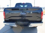 2016 F-150 Thumbnail 14