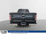 2014 F-150 Thumbnail 3