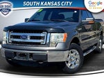 2013 F-150 Thumbnail 1