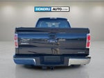 2014 F-150 Thumbnail 8