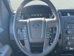 2014 F-150 Thumbnail 13