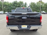 2017 F-150 Thumbnail 5
